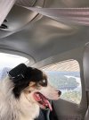IMG_8283.jpeg IMG_8283.jpeg