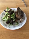 IMG_5794.jpeg