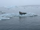 IMG_0913.jpeg