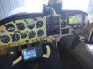 IMG_20220719_144723189.jpg