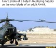 baby F-16.jpg
