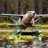 BeaverOnFloats240217s.jpg
