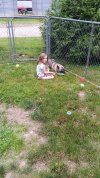 20240608_182334.jpg 20240608_182334.jpg
