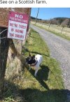 tresspass not (2).jpg tresspass not (2).jpg