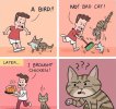 pretty much (2).jpg pretty much (2).jpg