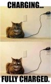IMG_1561.jpeg IMG_1561.jpeg