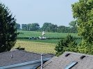 IMG_20240717_091505273.jpg