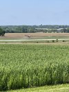 IMG_1562.jpeg