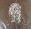 hair.jpg