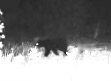 IMG_4749.jpeg IMG_4749.jpeg