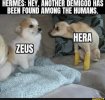 zeus and hera.jpg zeus and hera.jpg