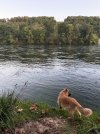IMG_4546.jpeg IMG_4546.jpeg