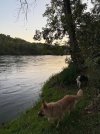 IMG_4545.jpeg IMG_4545.jpeg