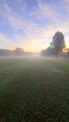 20240929_070648.jpg 20240929_070648.jpg
