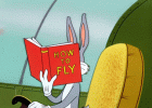 how2fly.gif how2fly.gif