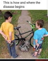 1738122223254.png 1738122223254.png