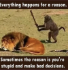 1738299468620.png 1738299468620.png