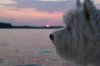 100_1417.JPG