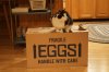 From EGGS  come - - -.jpg