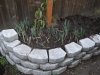 DSCN0638.jpg