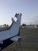 2010-04-03 08.15.12.jpg