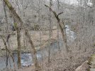 IMG20250303154918.jpg