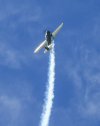 DSC_7672.jpg