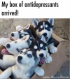 1741493227435.png