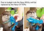 FB_IMG_1741472363387.jpg