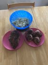 IMG_6108.jpeg