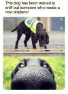1741782721152.png