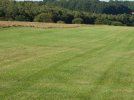 field.jpg