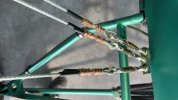 IMG_2983.jpeg