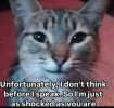 Screenshot_20250327-214121.png