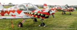20220727-GDK04659-AirVenture.jpg