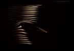 1743439265768.png