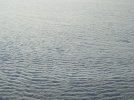 IMG_9420.jpeg