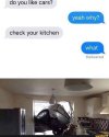 check kitchen for cars.jpg check kitchen for cars.jpg