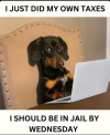Screenshot_20250401-202336.png Screenshot_20250401-202336.png