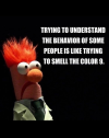1743651280305.png 1743651280305.png