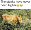 1743871650730.png 1743871650730.png