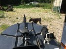 IMG_5281.jpeg