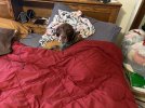 IMG_9045.jpeg