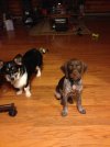 IMG_0339.jpeg