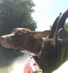 IMG_5309.jpeg