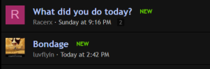 what the bondage did you do.png