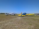 PXL_20250416_200657530.jpg