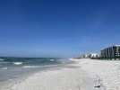 IMG_6356.jpeg