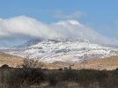 IMG_7641.jpeg