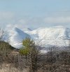 IMG_7643.jpeg